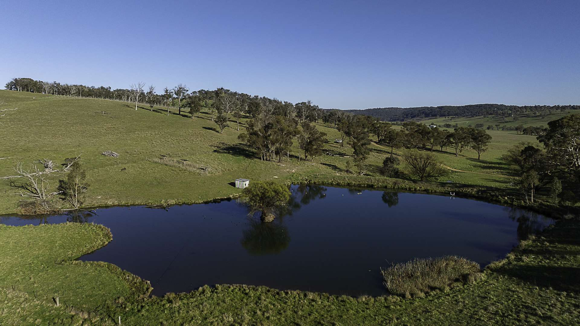 cattle property for sale NSW