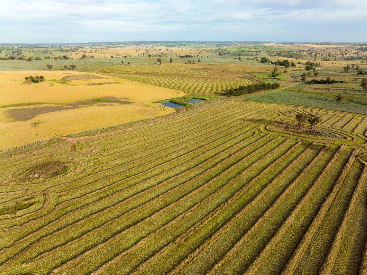 Landmark farms for sale NSW tightlyheld southern region