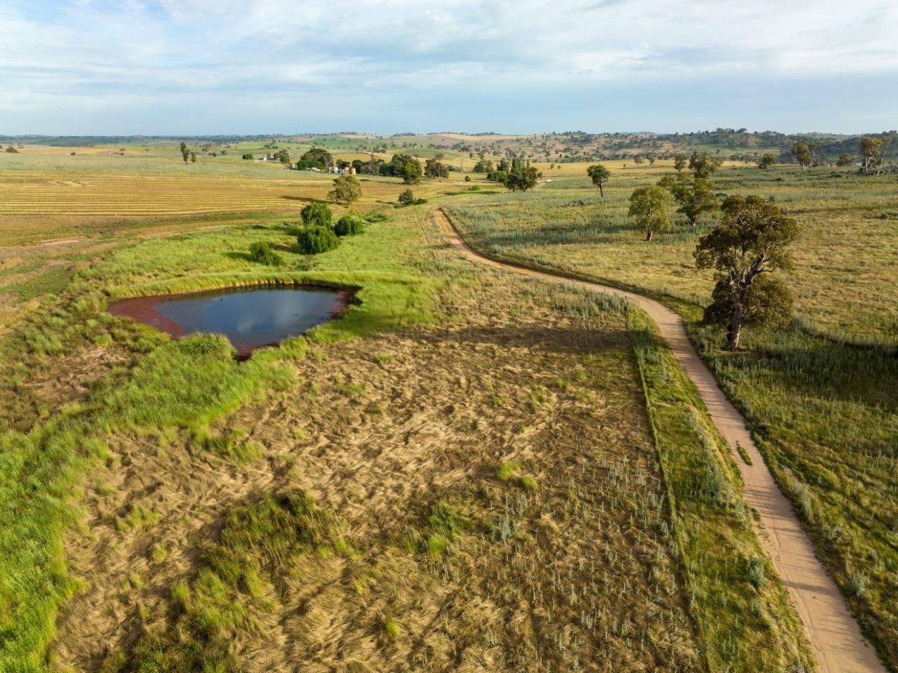 Farms for sale NSW