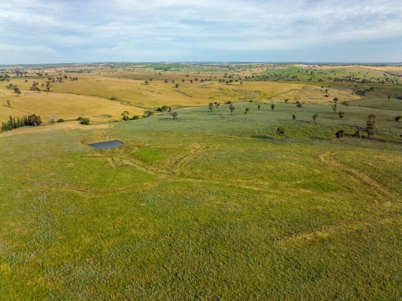 Farms for sale NSW