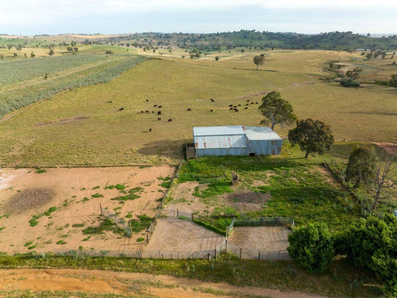 Farms for sale NSW