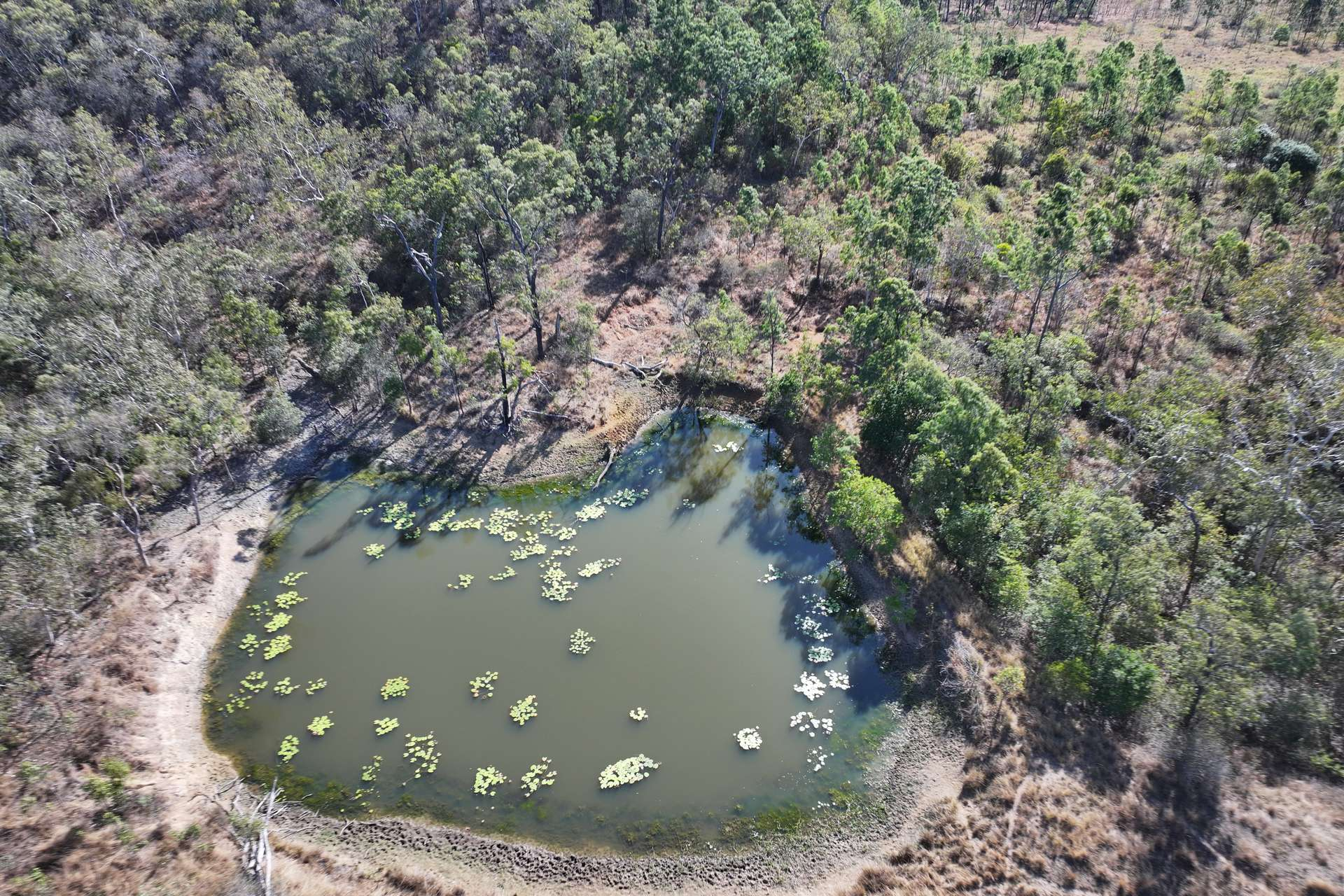 Cattle Property For Sale QLD