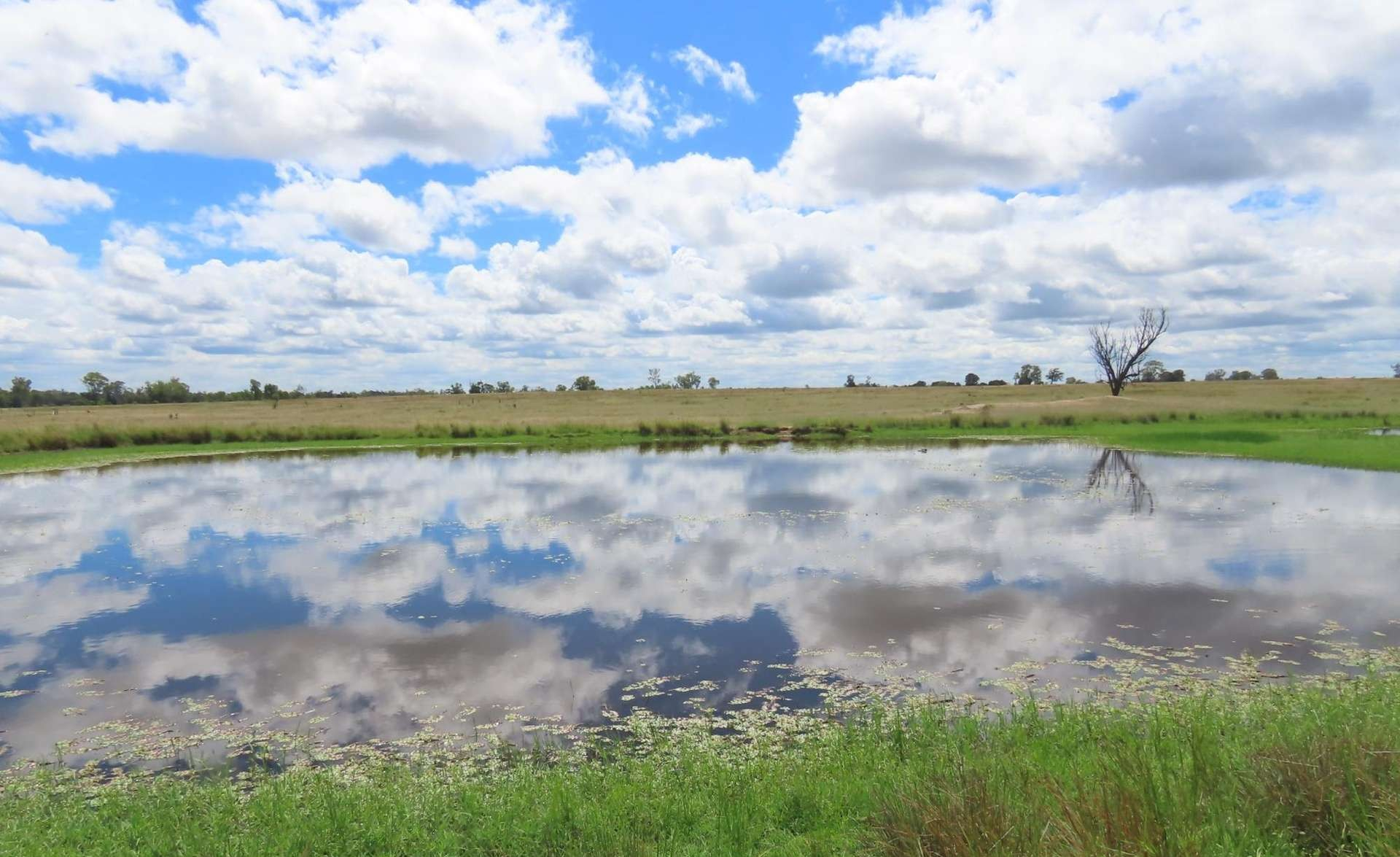 Cattle Property For Sale QLD