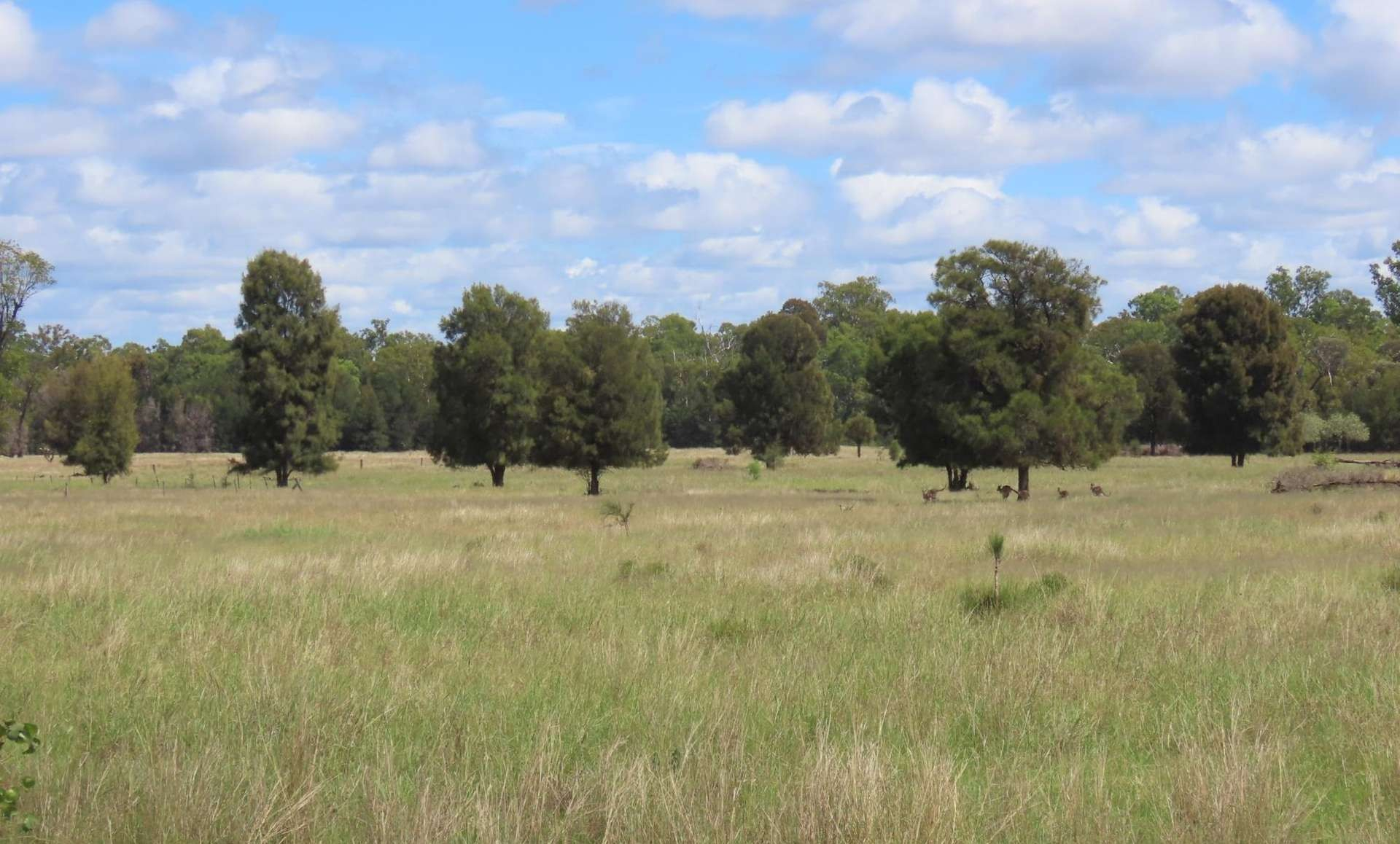 Cattle Property For Sale QLD