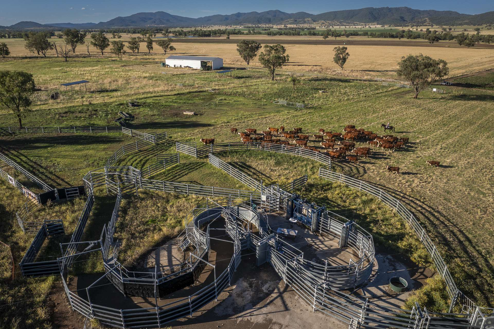 rural property for sale NSW