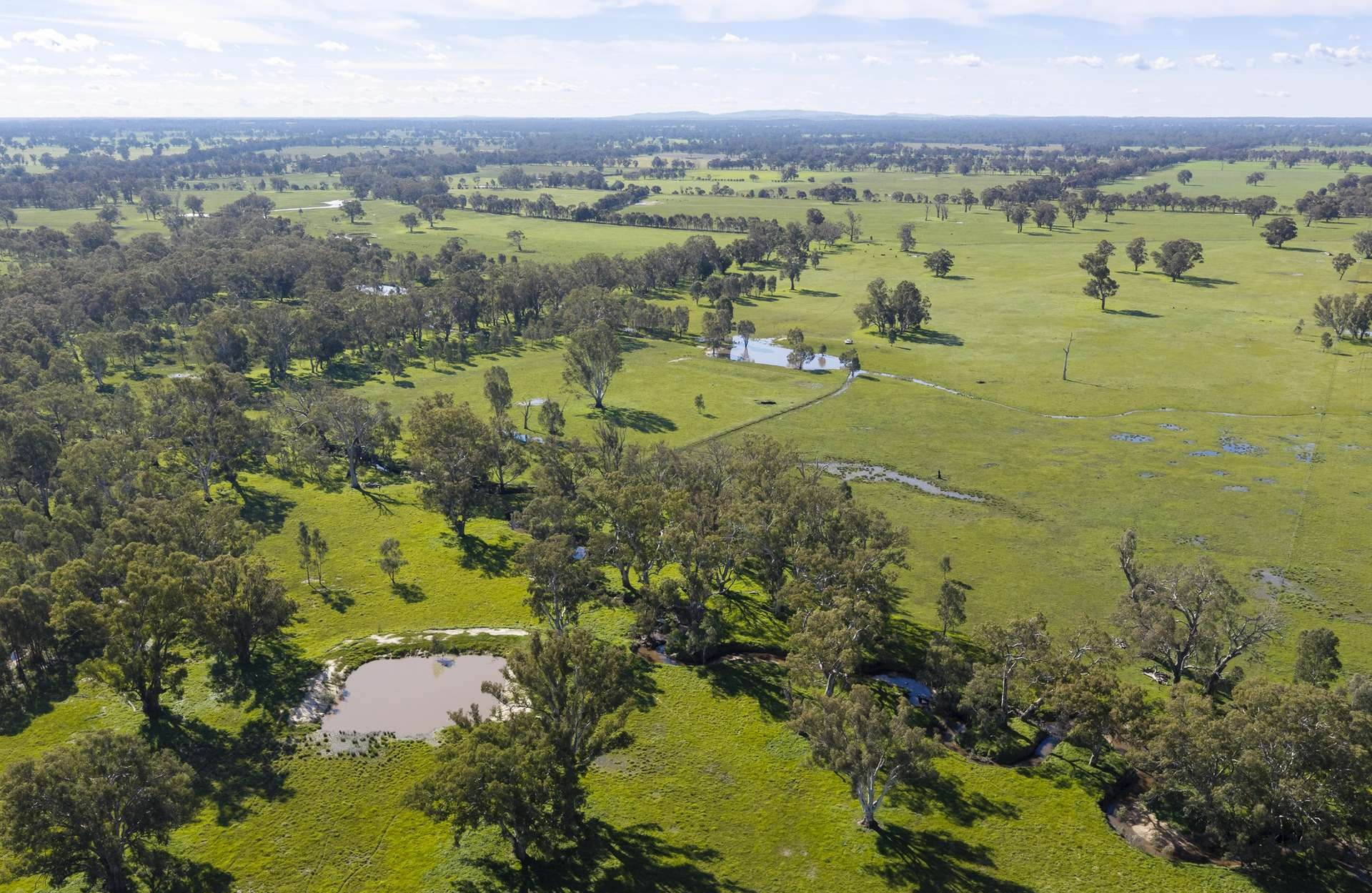 Rural Lifestyle Property For Sale VIC