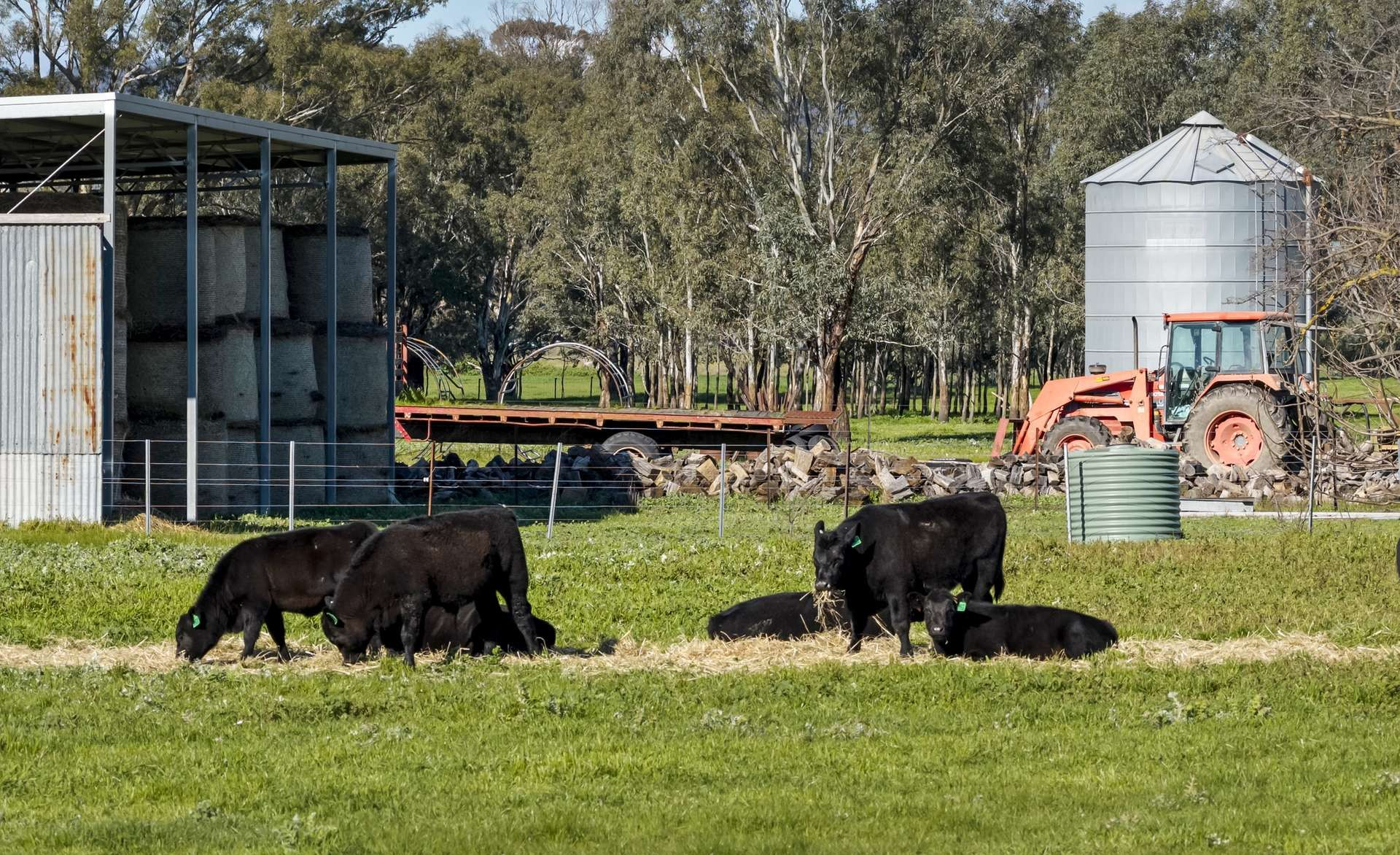 Rural Lifestyle Property For Sale VIC