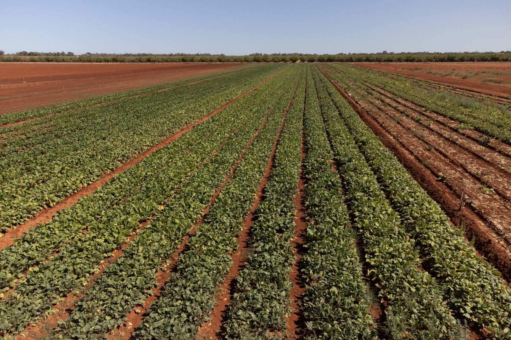 farm for sale south australia