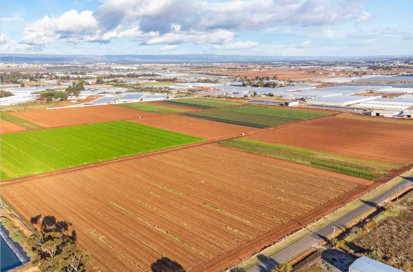 Farm for sale South Australia
