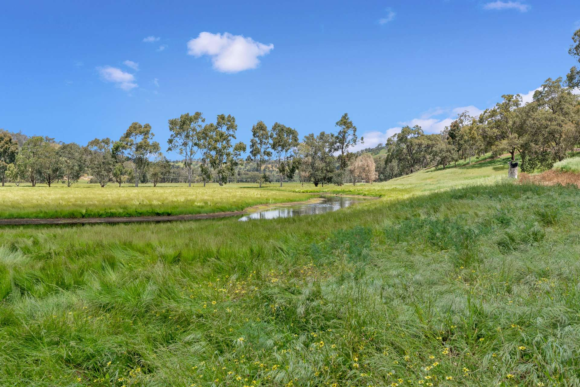 acreage property for sale WA