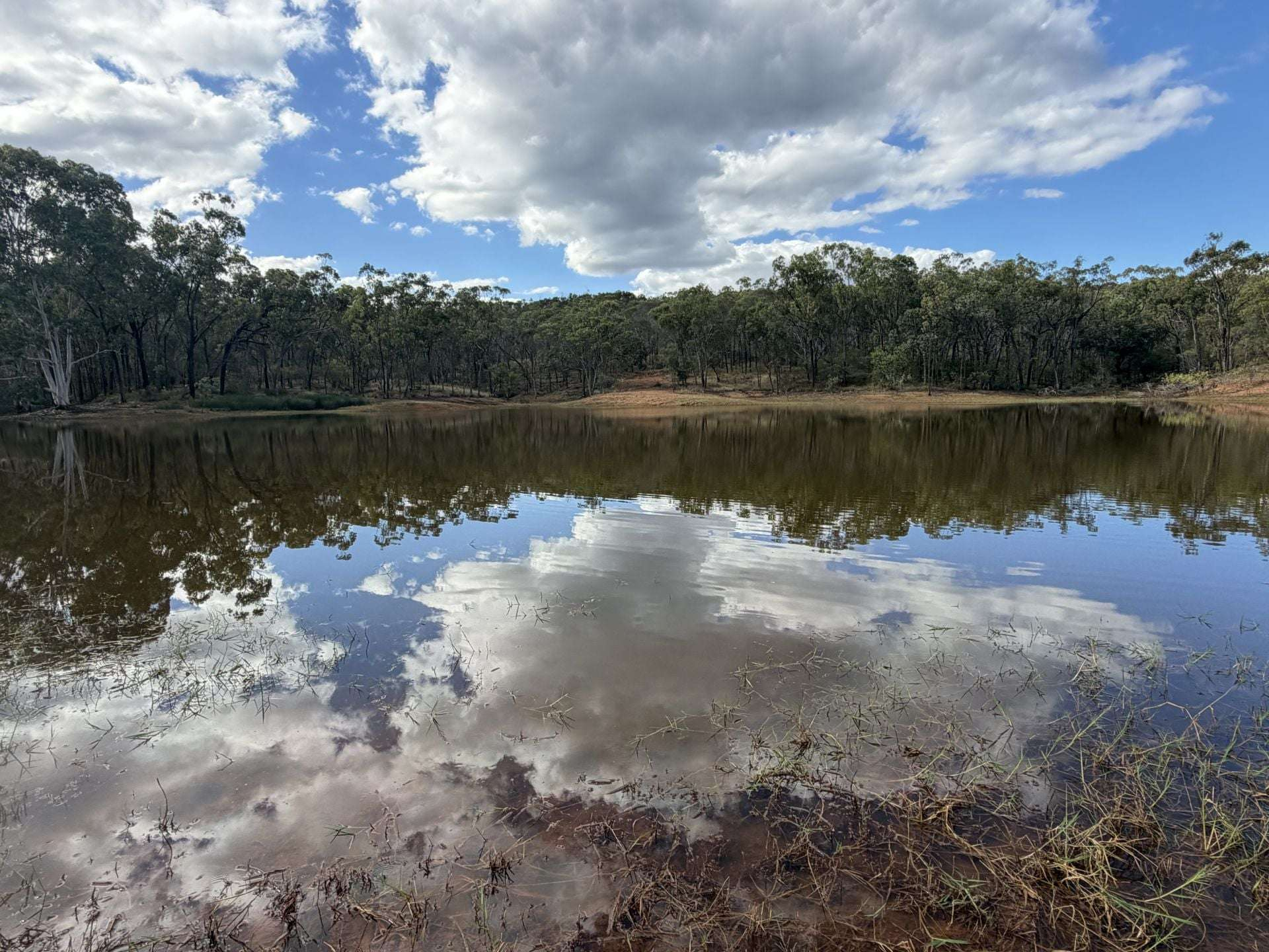 Cattle Property For Sale QLD