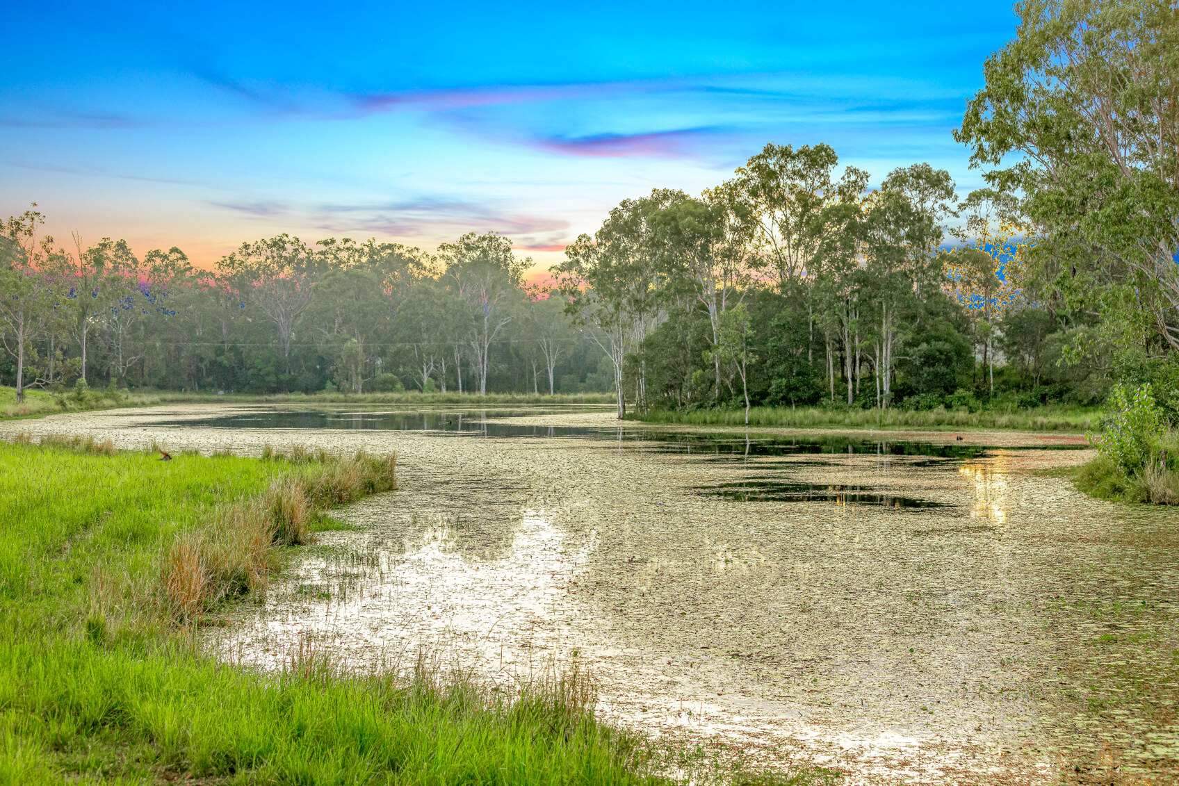 rural property for sale queensland