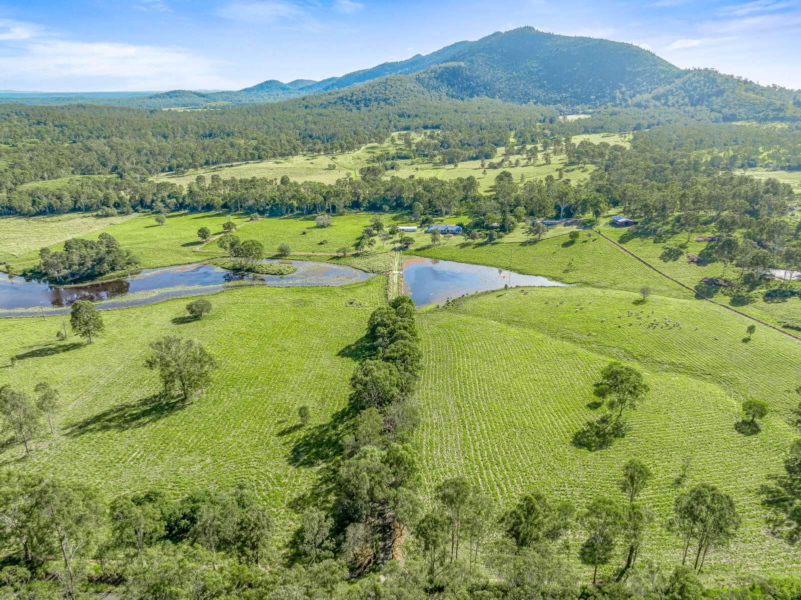 rural property for sale queensland