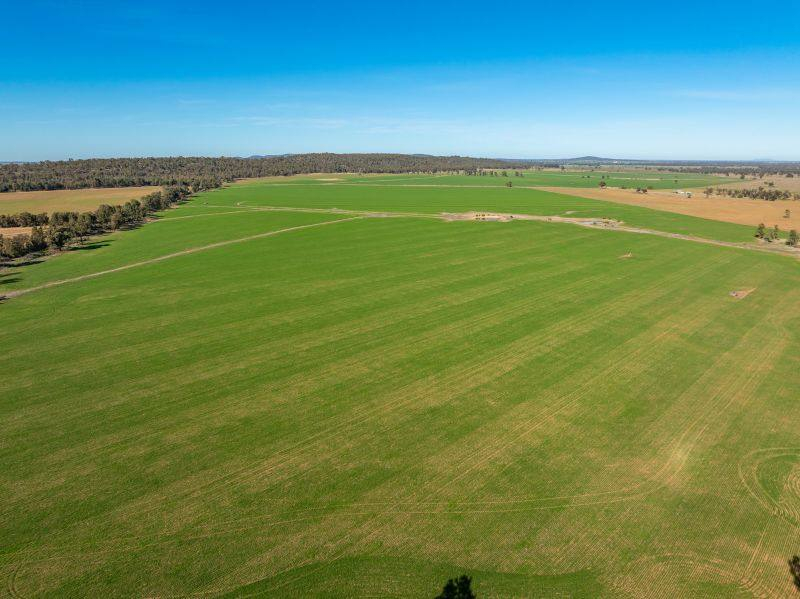 farm for sale NSW