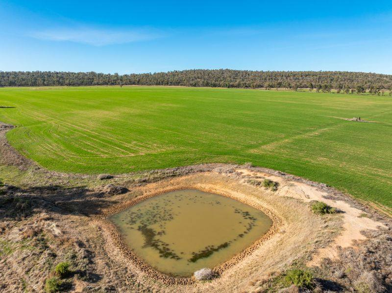 farm for sale NSW
