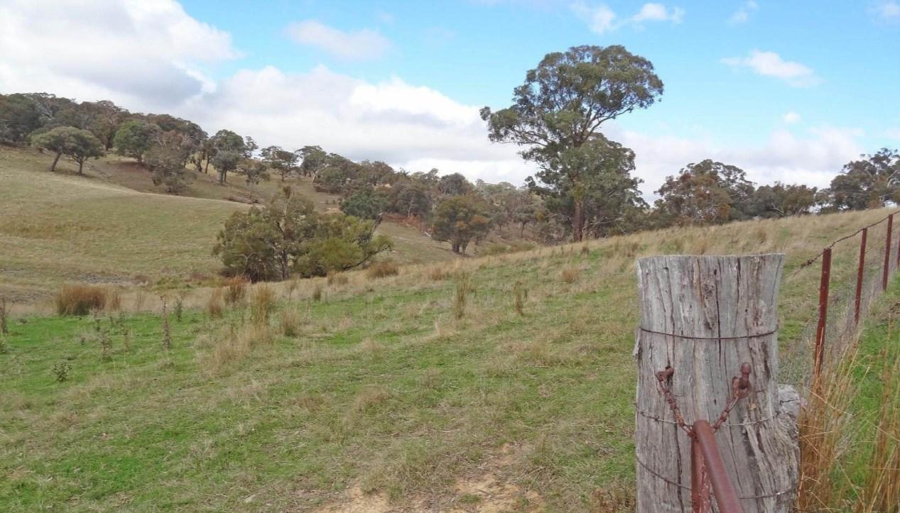 Rural Property For Sale Bathurst