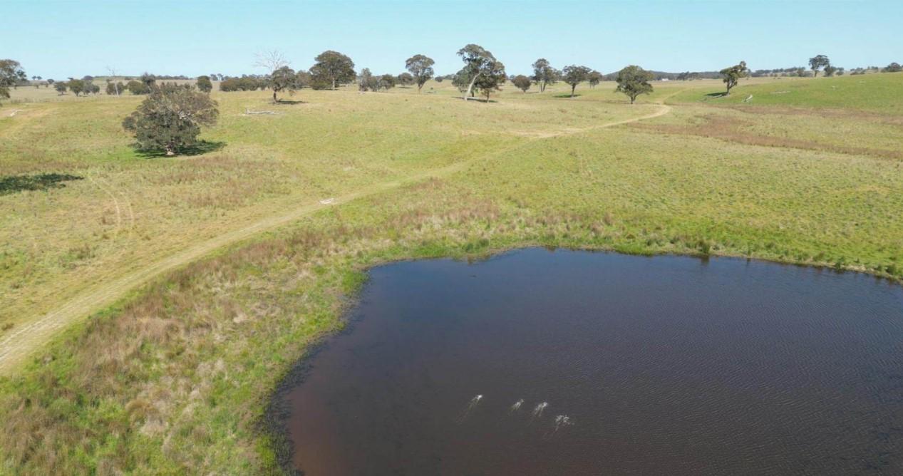 Rural Property For Sale Bathurst