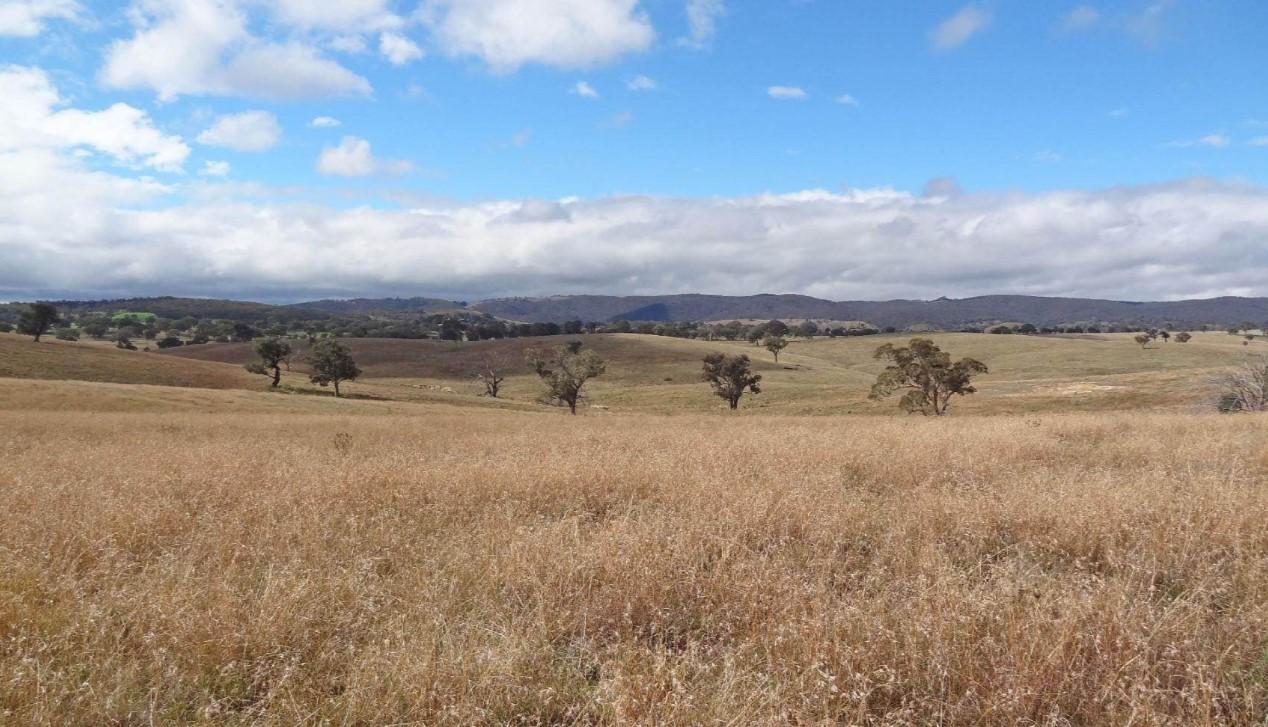 Rural Properties For Sale Bathurst Region Nsw at Annabelle Rouse blog