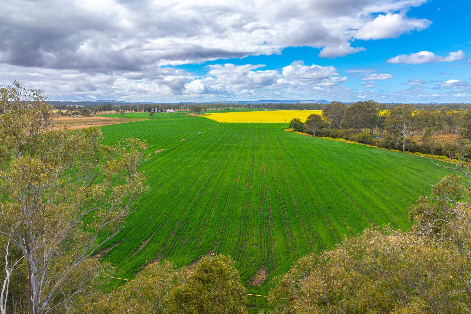 Mixed Farm For Sale