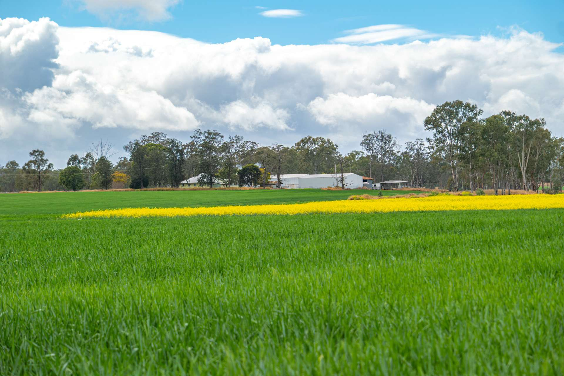 Mixed Farm For Sale QLD