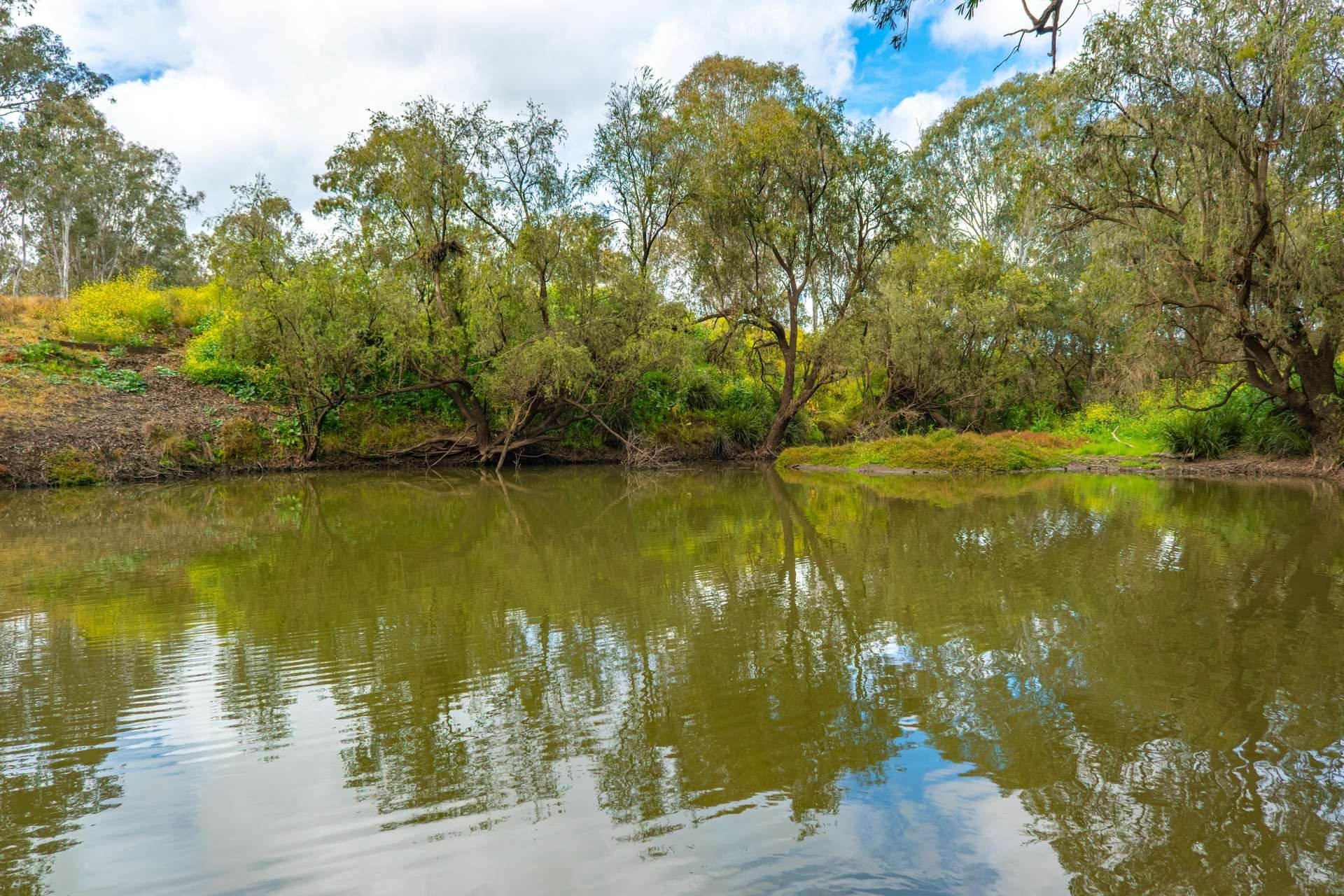 Mixed Farm For Sale QLD