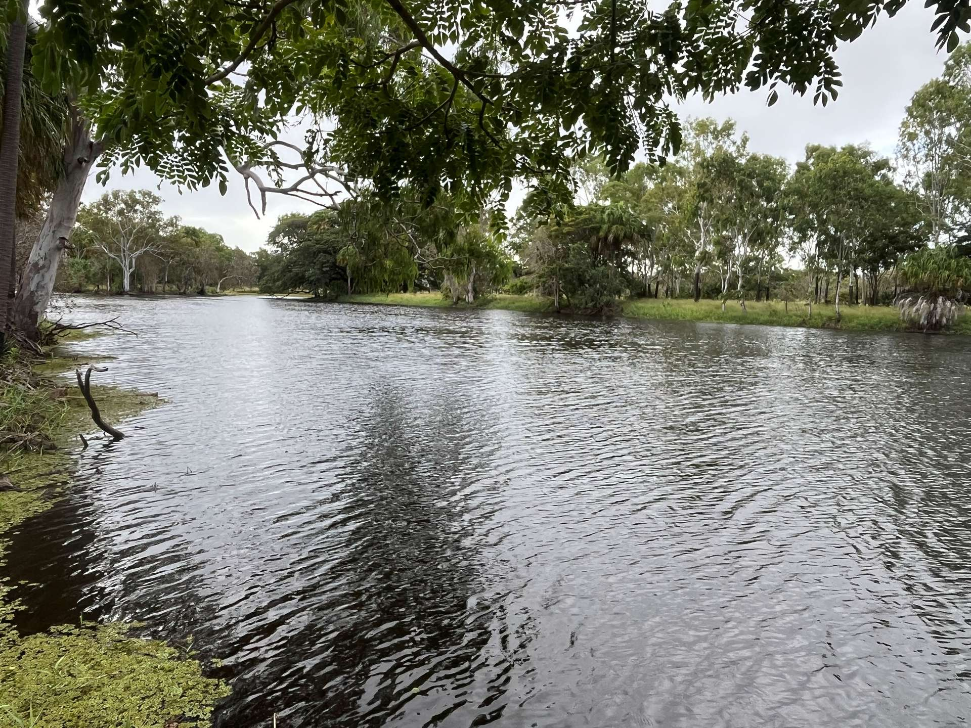 cattle property for sale QLD