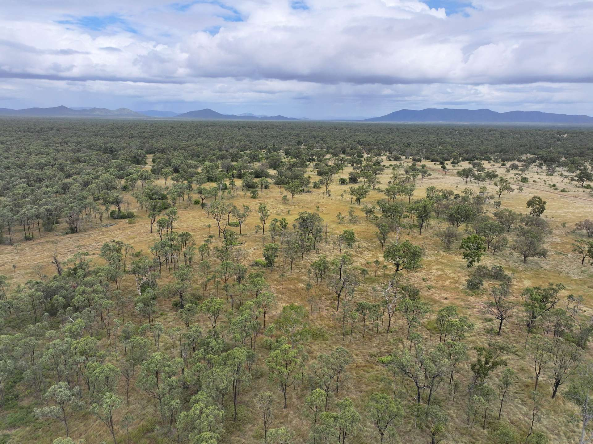 cattle property for sale QLD