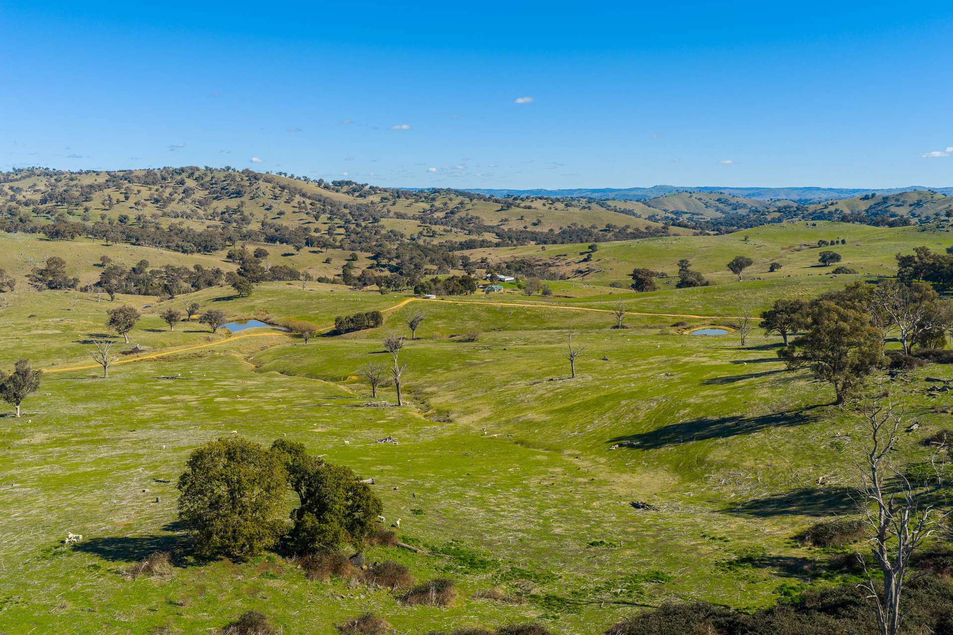 rural property for sale NSW