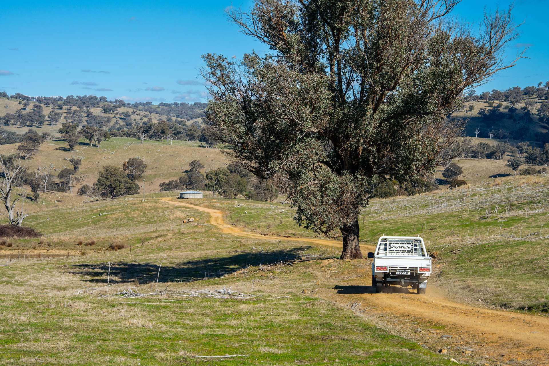 rural property for sale NSW