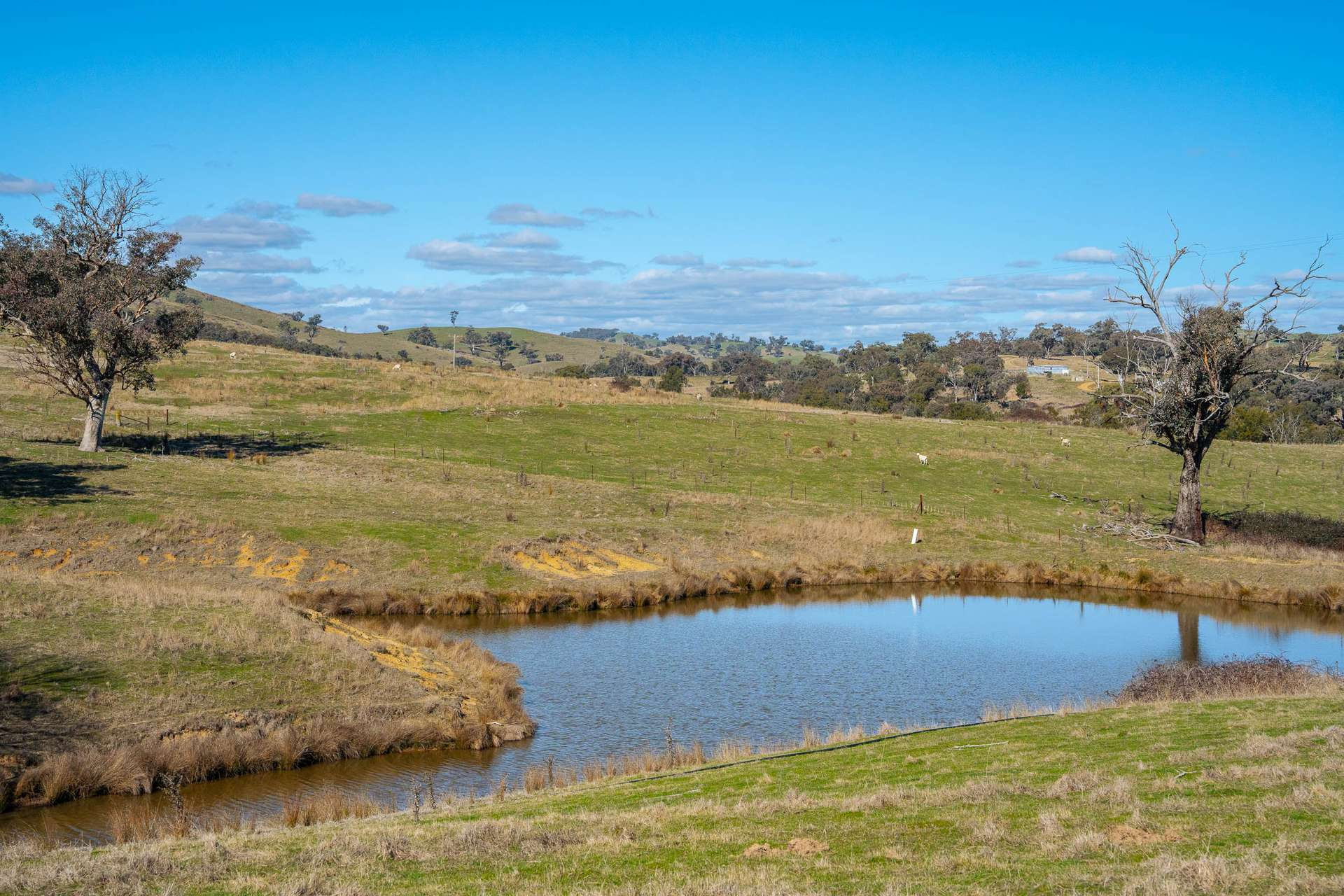rural property for sale NSW