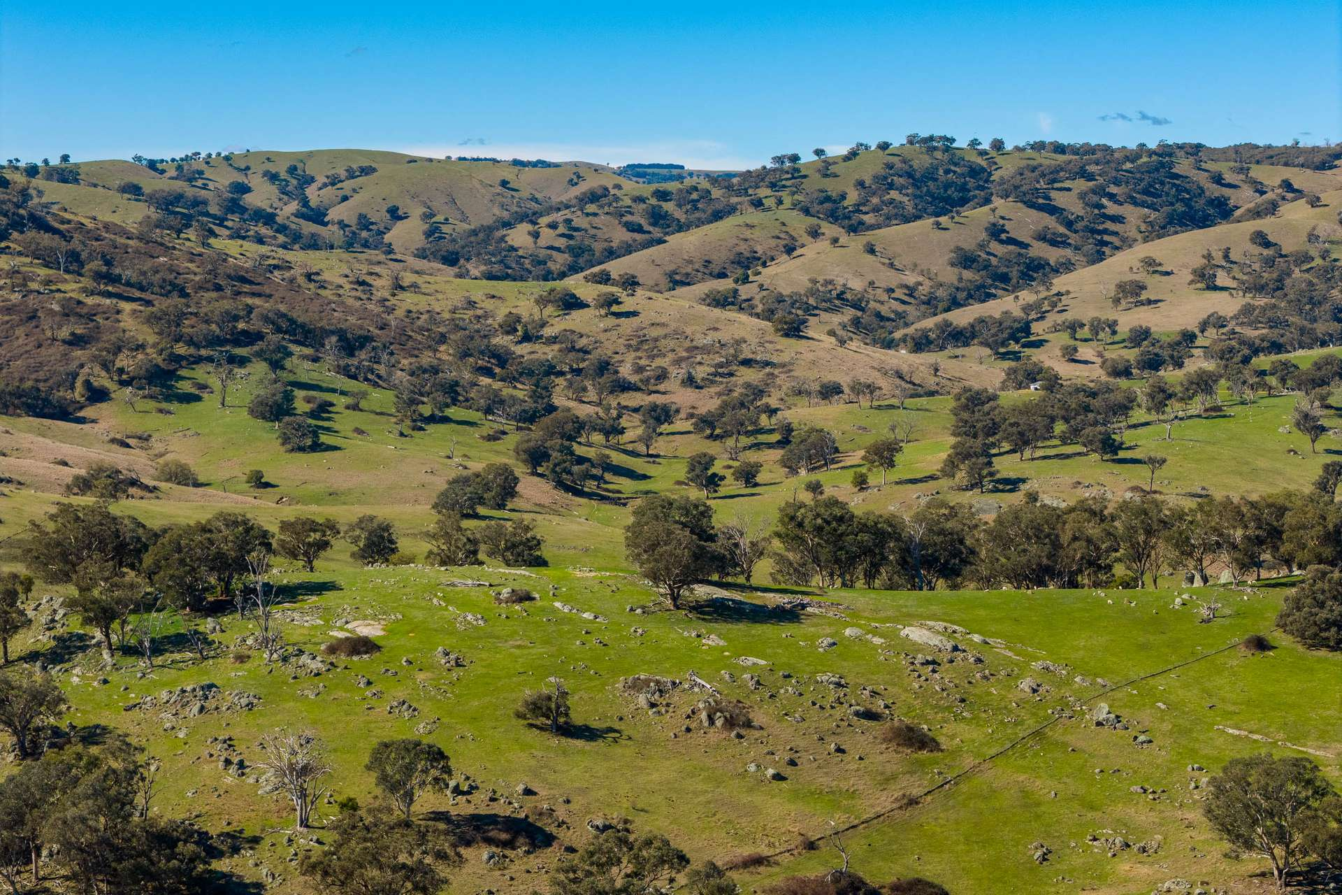 rural property for sale NSW