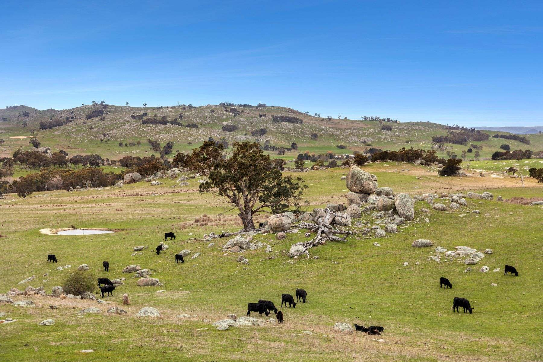 acreage property for sale VIC