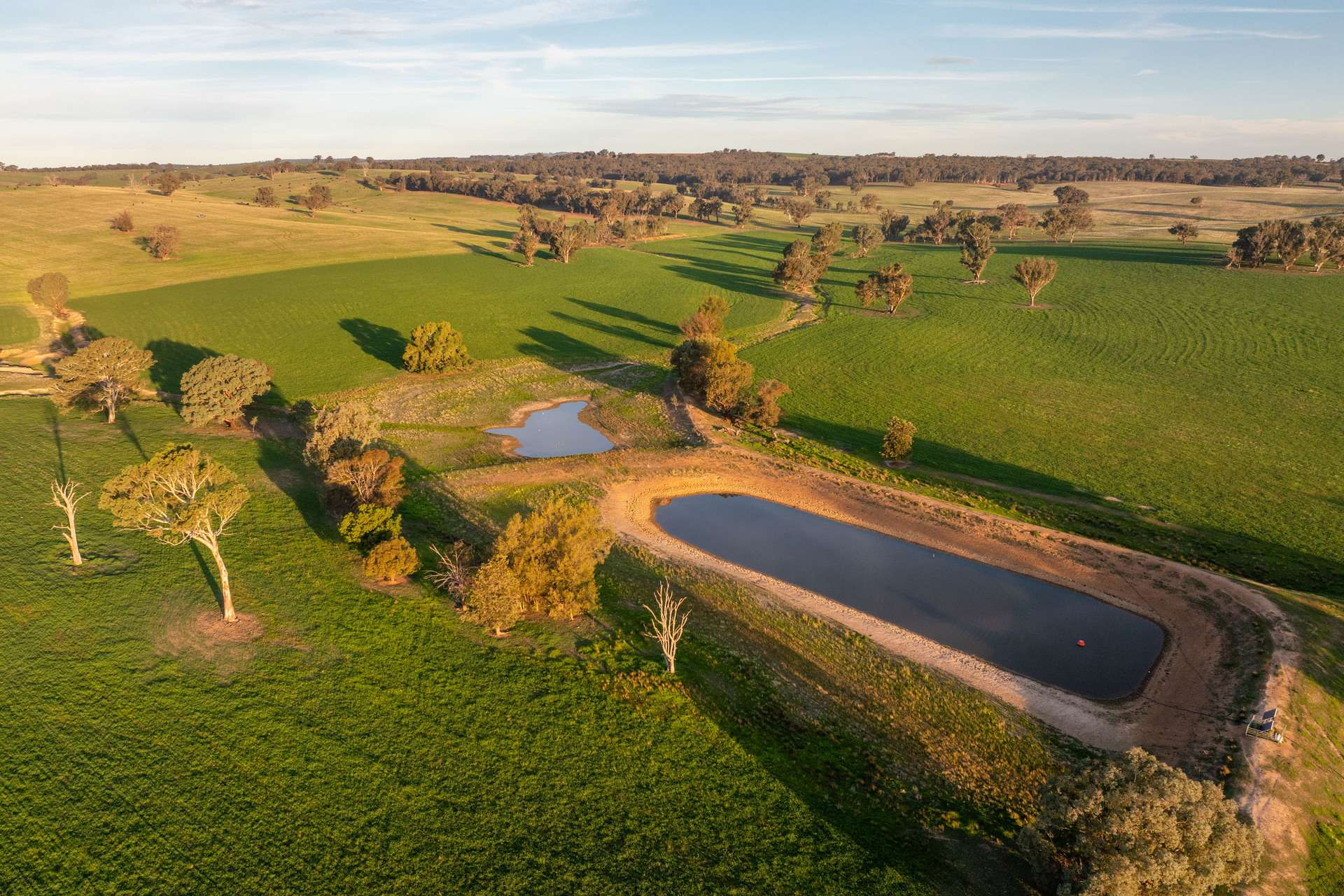 Farm For Sale NSW