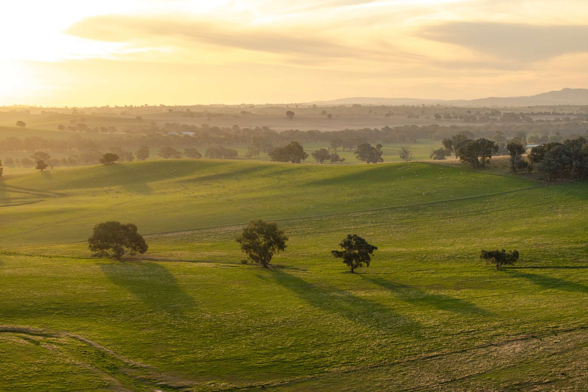Farm For Sale NSW
