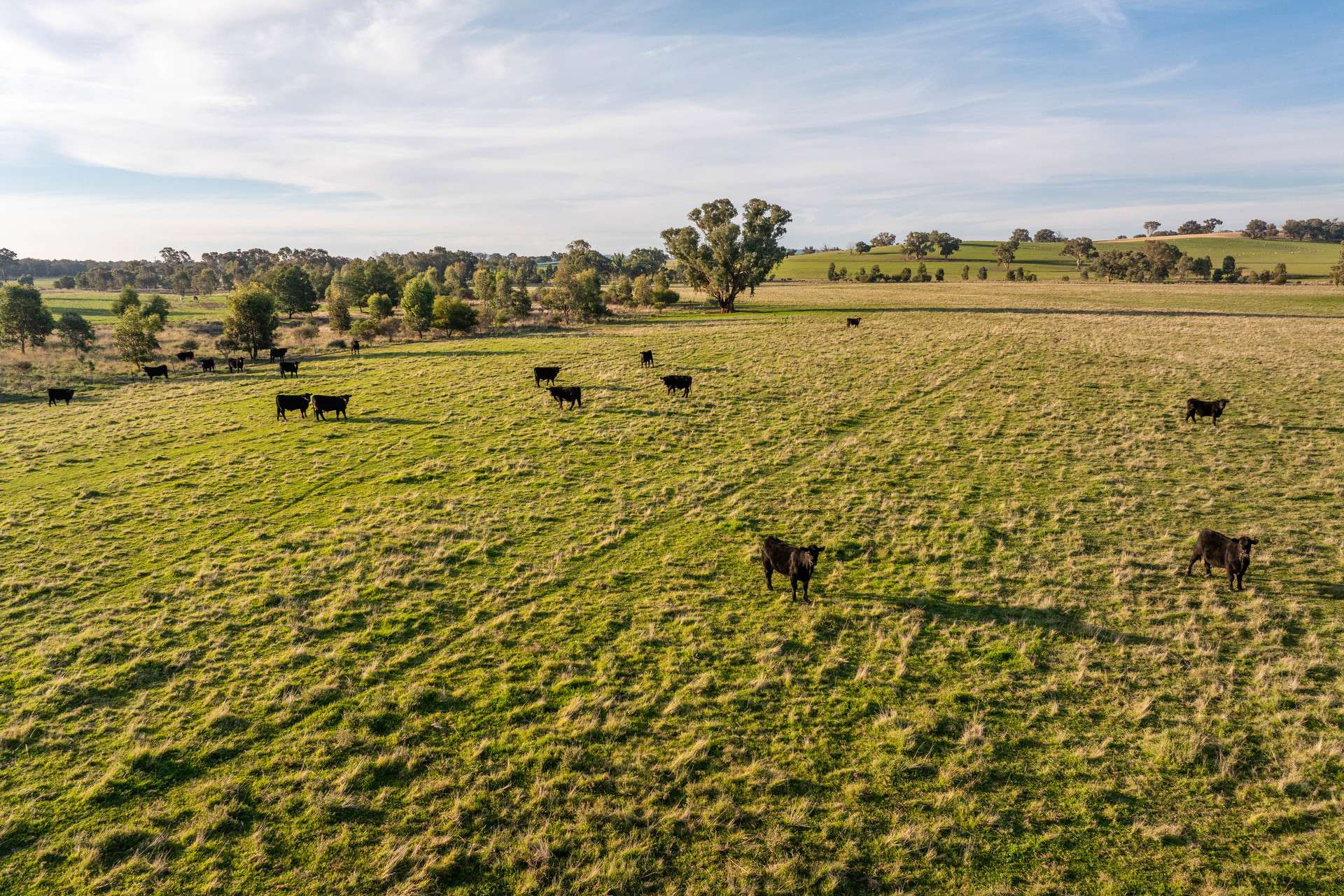Farm For Sale NSW