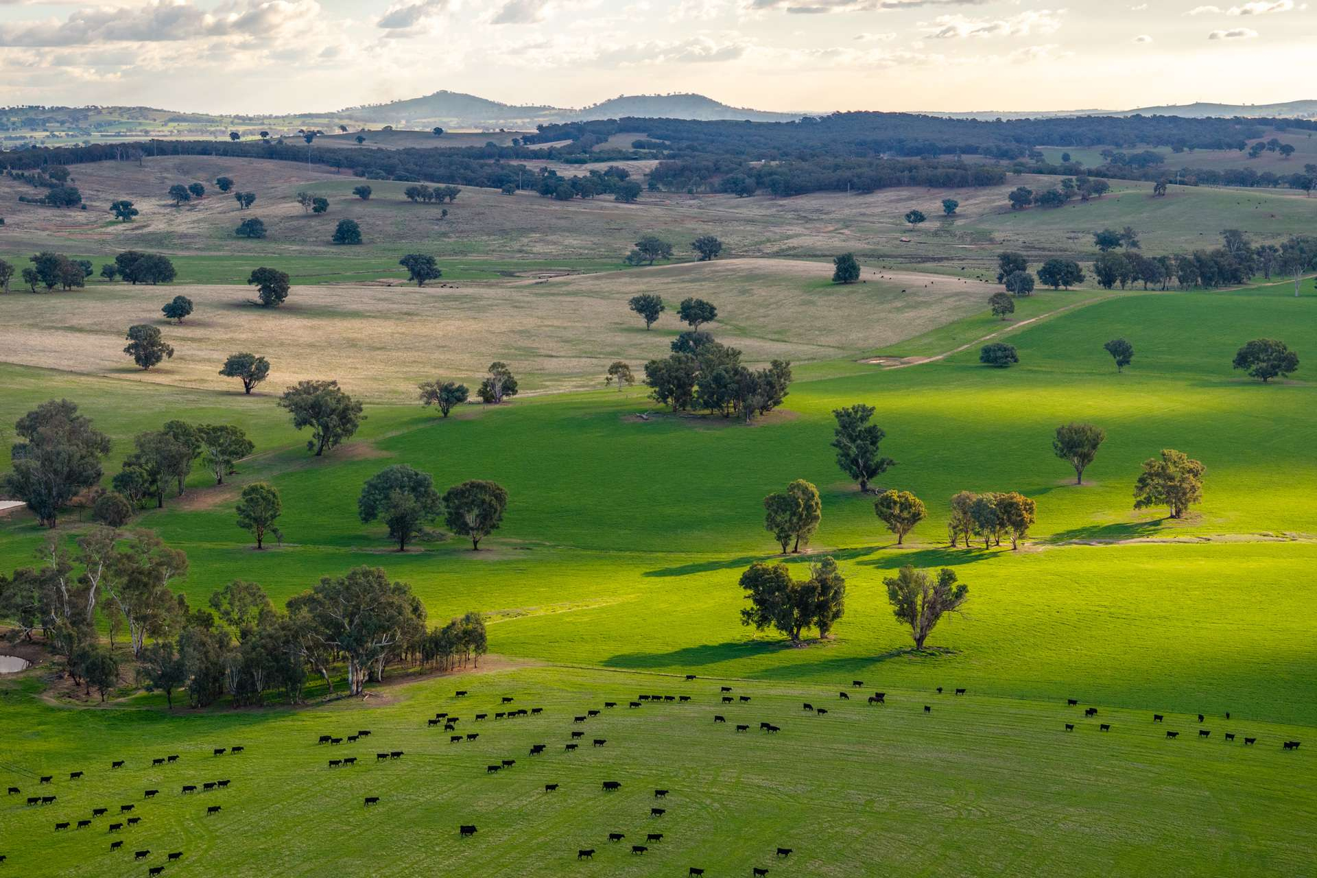 Farm For Sale NSW