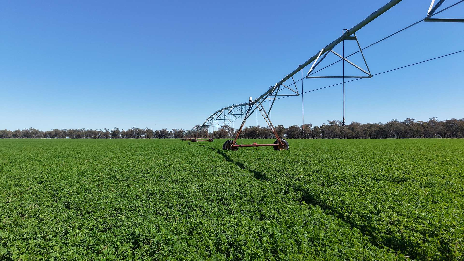 Mixed Farm For Sale NSW