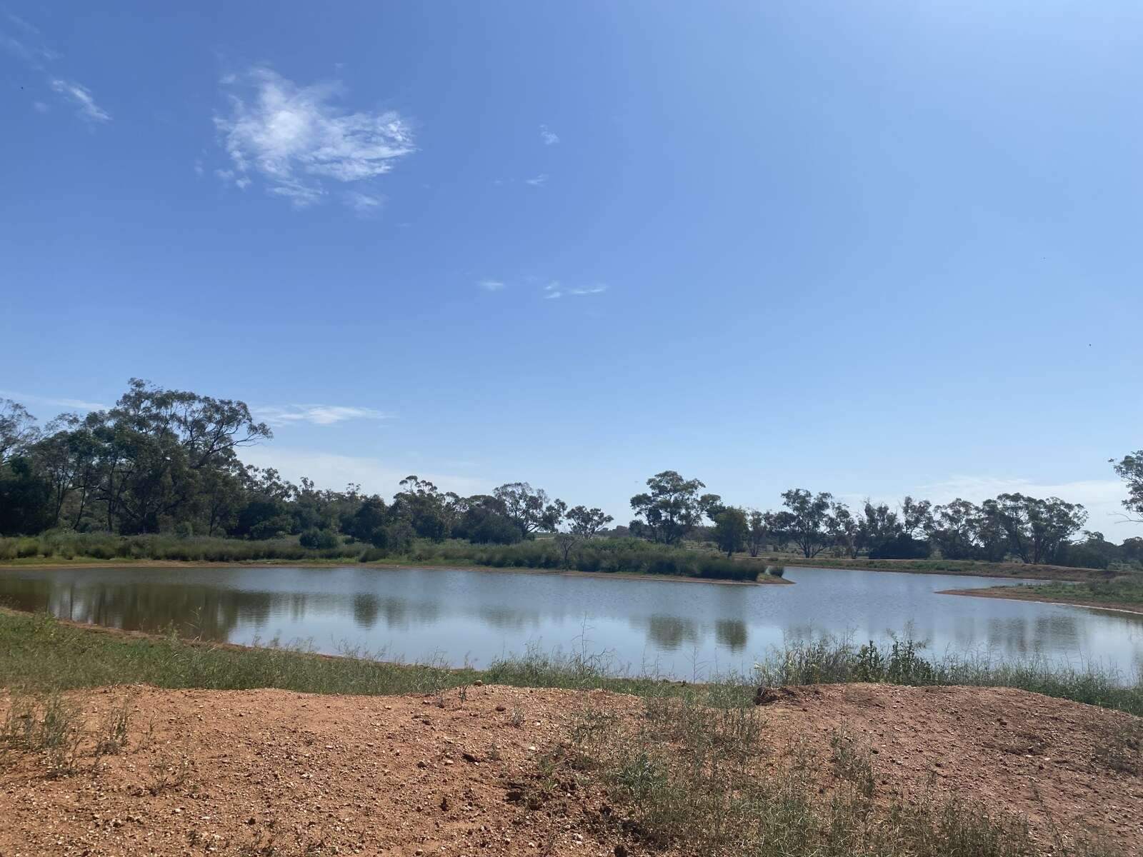 Farm For Sale NSW