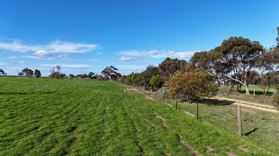 rural property for sale SA