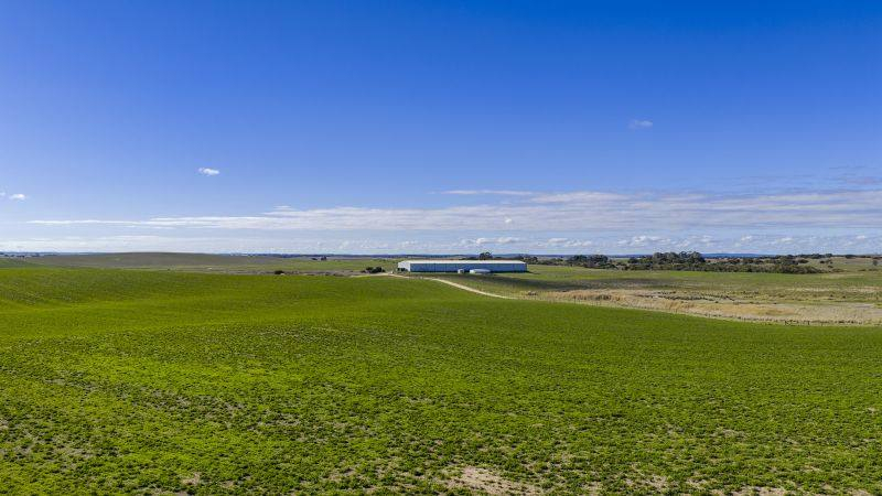 Farm For Sale SA
