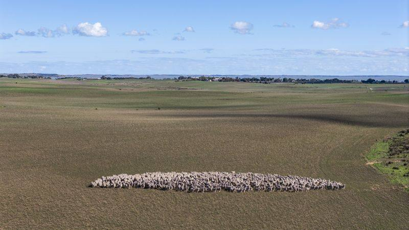 Farm For Sale SA