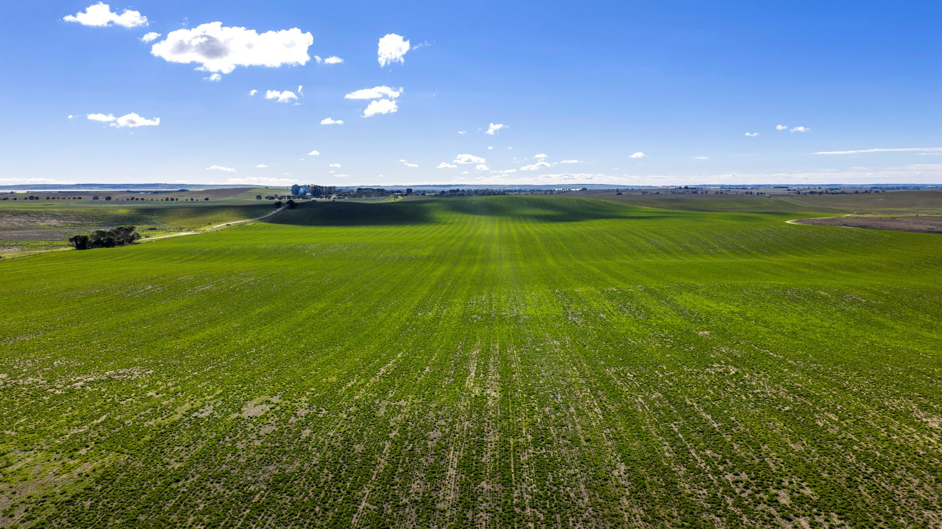 Farm For Sale SA