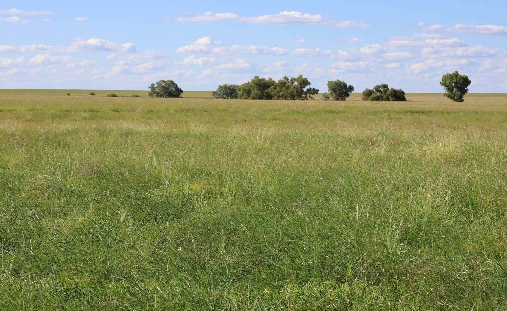 rural property for sale QLD