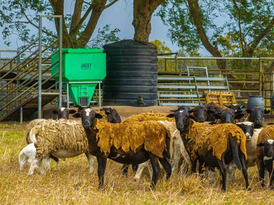 mixed farm for sale QLD