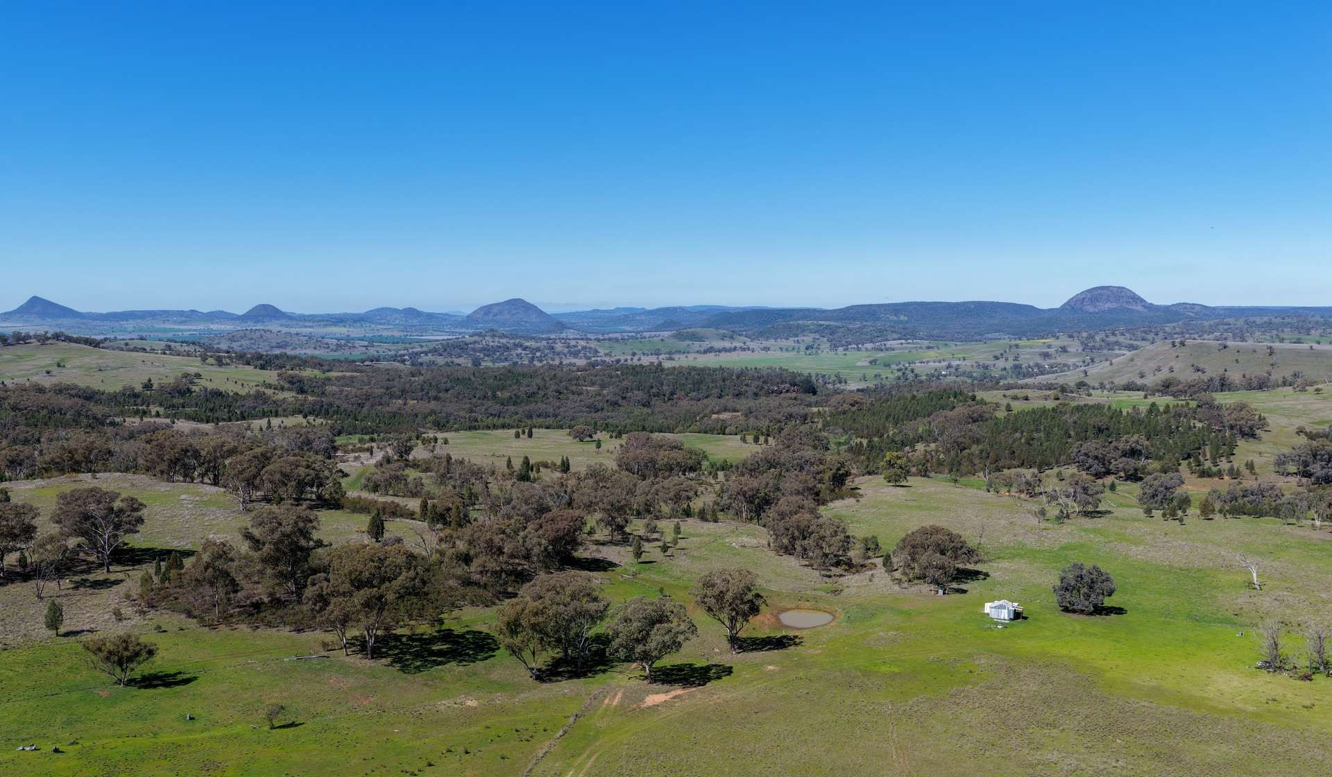 Mixed Farm For Sale NSW