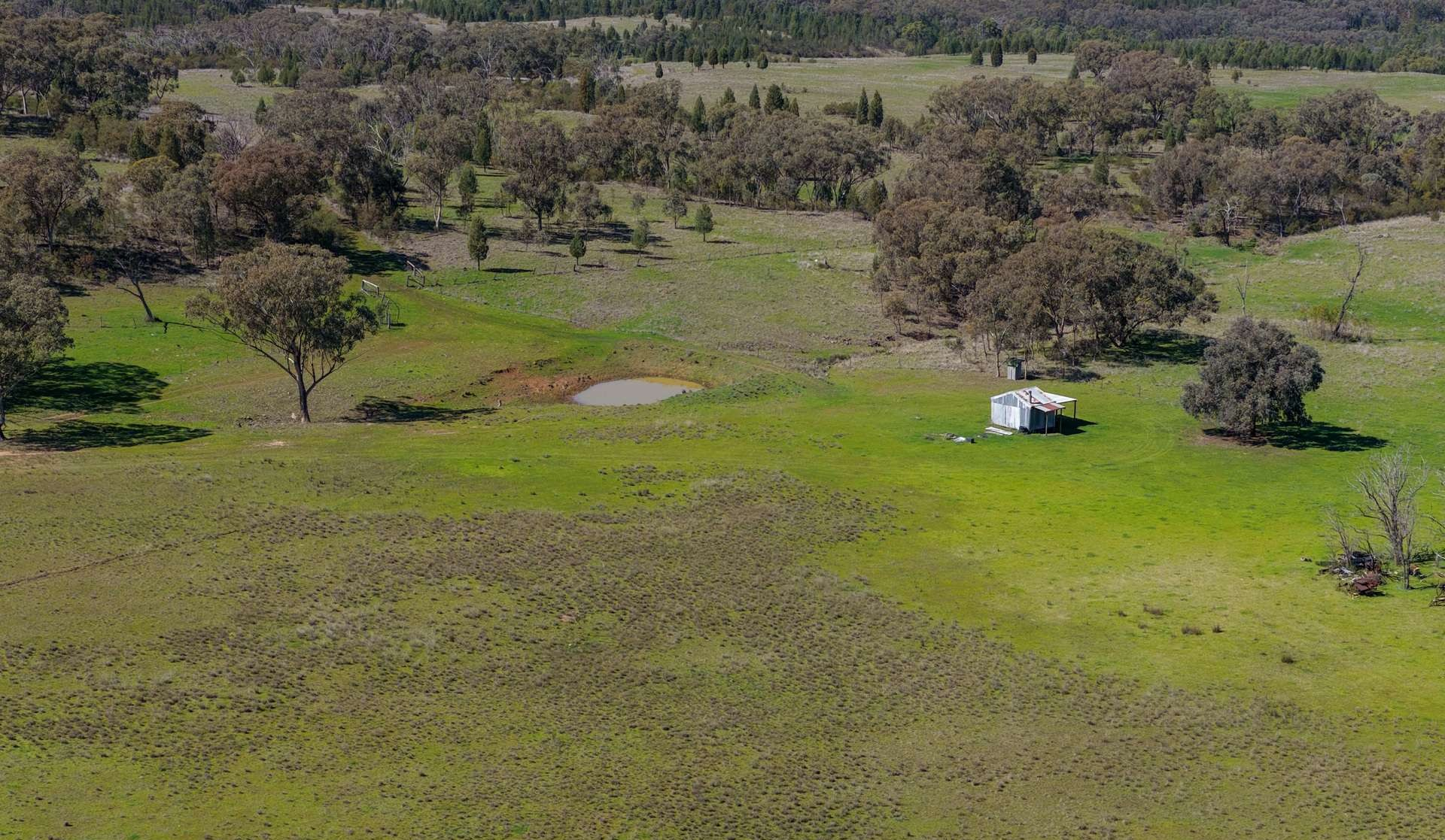 Mixed Farm For Sale NSW