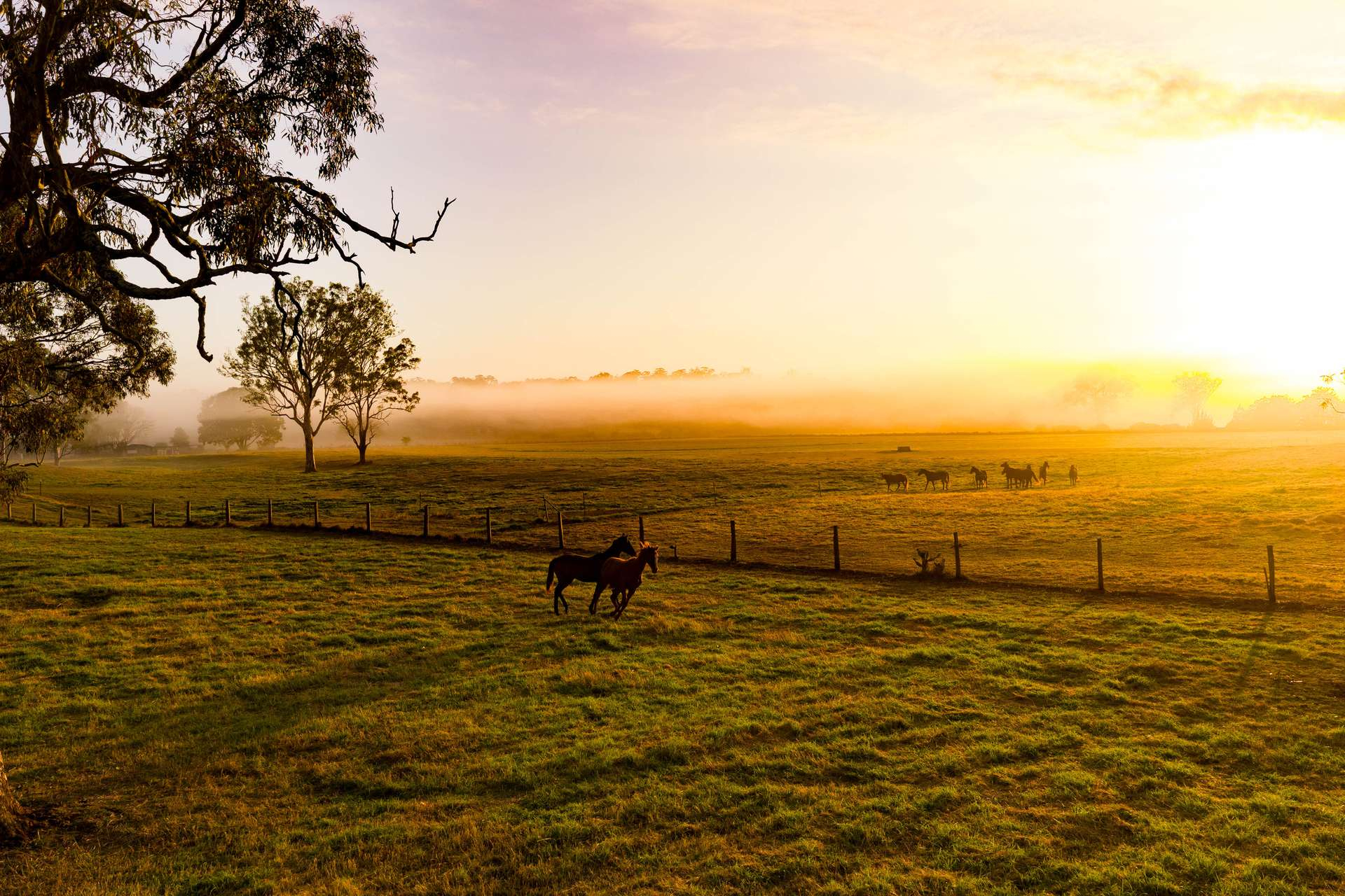 Rural Property For Sale QLD