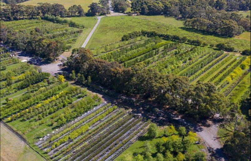 Nursery For Sale VIC Bass Coast