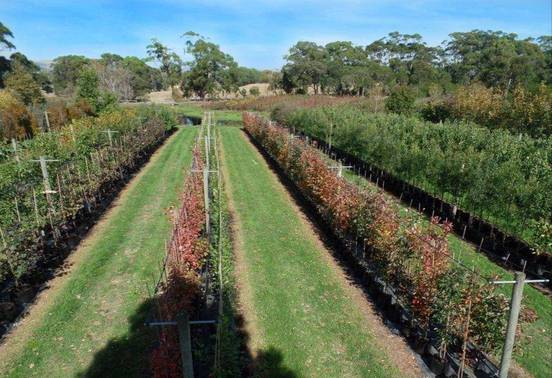 Nursery For Sale VIC Bass Coast