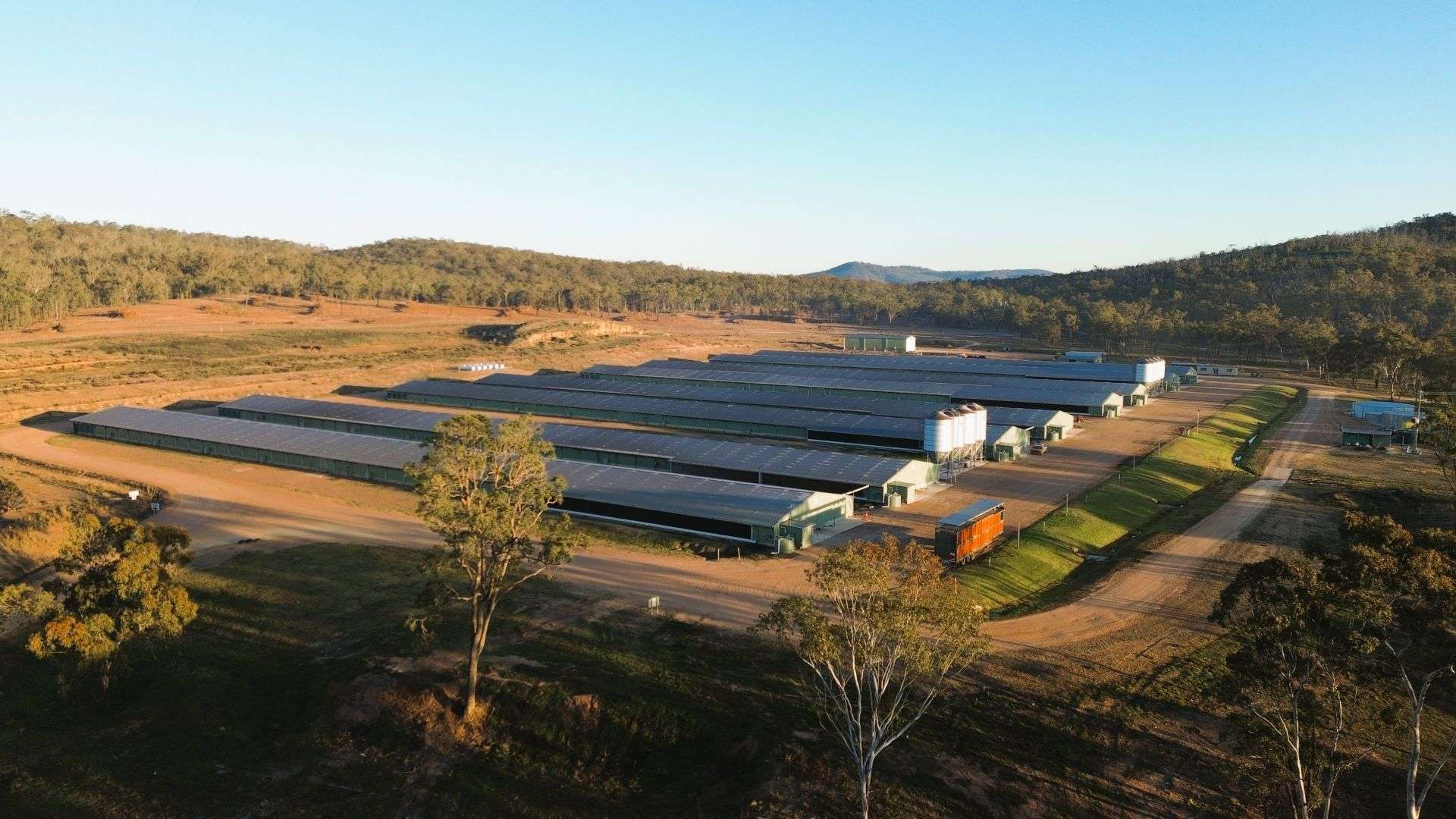 Poultry Farm For Sale QLD